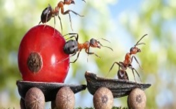 Chàng trai có cô vợ diễn viên nhào lộn